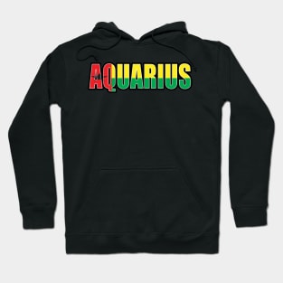 Aquarius Bissau Guinean Horoscope Heritage DNA Flag Hoodie